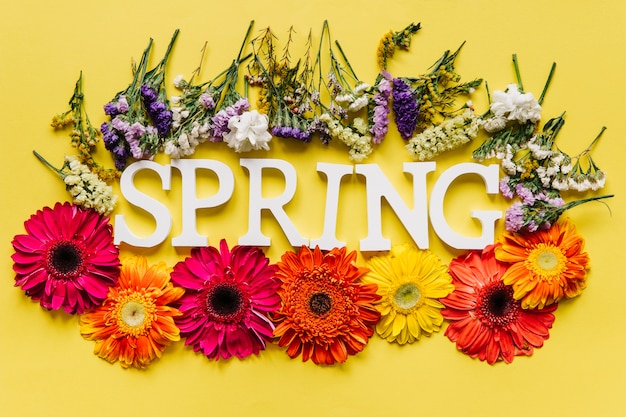 Free photo spring word and colorful flowers arrangement