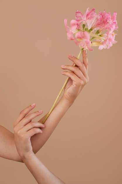 Студийный портрет с розовым цветком в руке