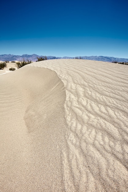Foto gratuita scenario soleggiato delle dune di sabbia piatte di mesquite nel parco nazionale della valle della morte, california - usa