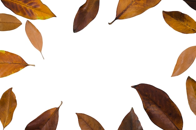 Бесплатный PSD Осенняя конструкция каркаса листьев
