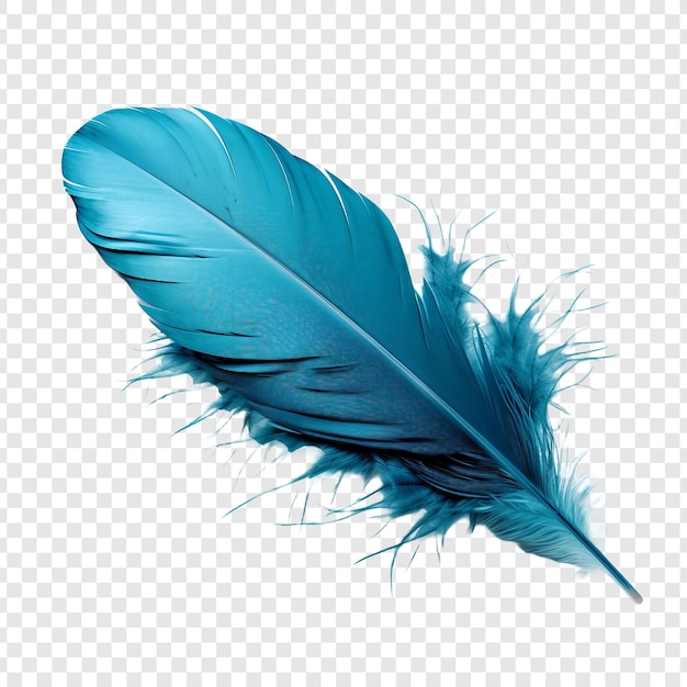 Free PSD feathers adorn a fashionable isolated on transparent background