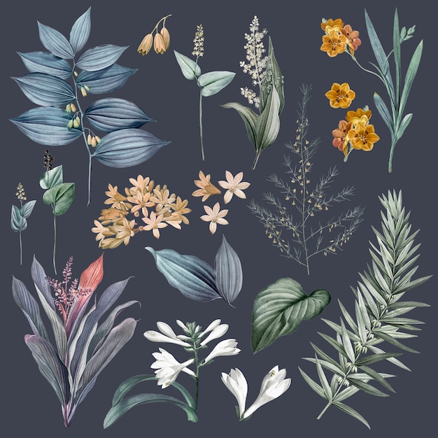 Бесплатный PSD Набор цветов и иллюстраций растений