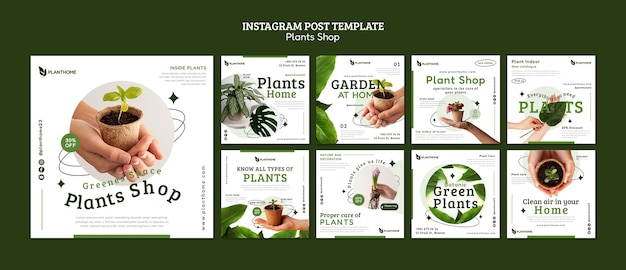 Бесплатный PSD Уход за растениями посты в инстаграме
