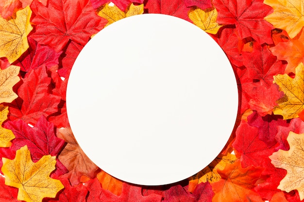 Photo gratuite mise à plat de différentes feuilles d'automne avec espace copie