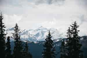 Photo gratuite belles montagnes dans la neige et les arbres