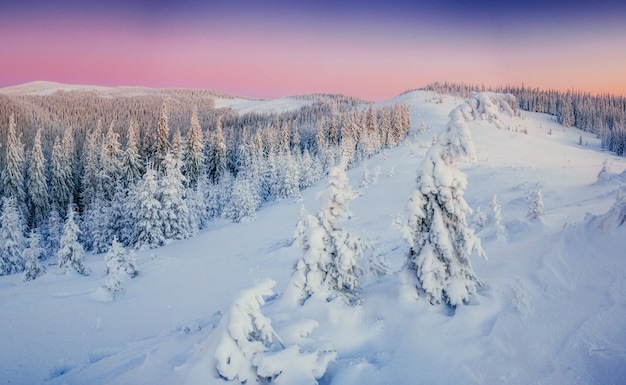 Photo gratuite paysage d'hiver fantastique dans les montagnes. coucher de soleil magique dans un