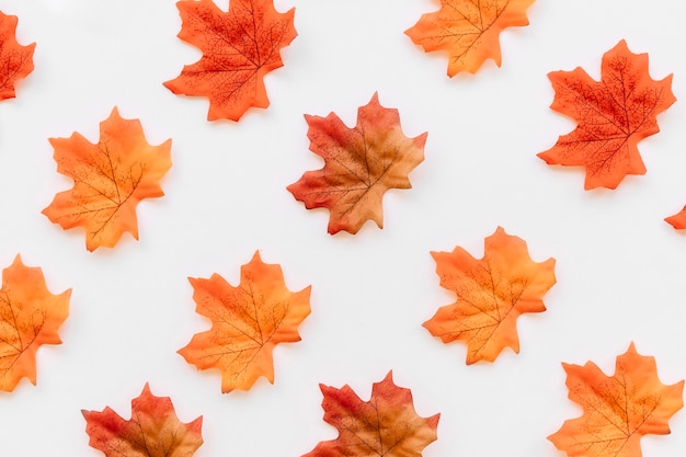 Photo gratuite plat poser de texture de feuilles d'automne