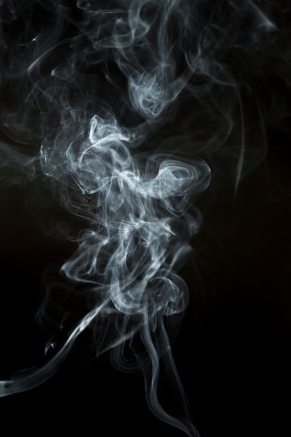 Photo gratuite silhouette de fumée blanche sur fond noir