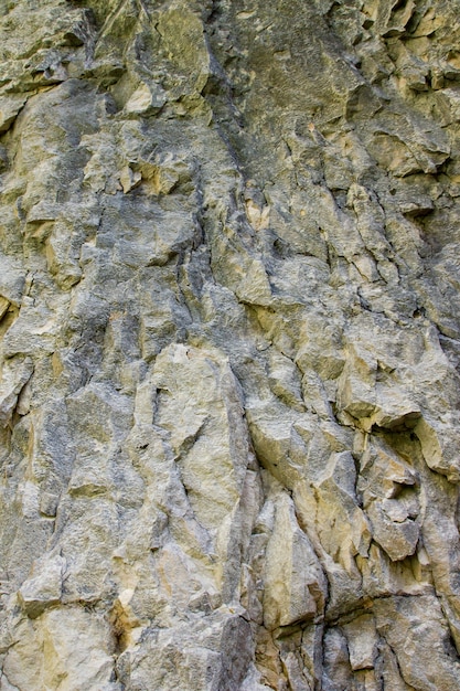 Photo gratuite tir vertical des rochers sur la montagne medvednica à zagreb, croatie