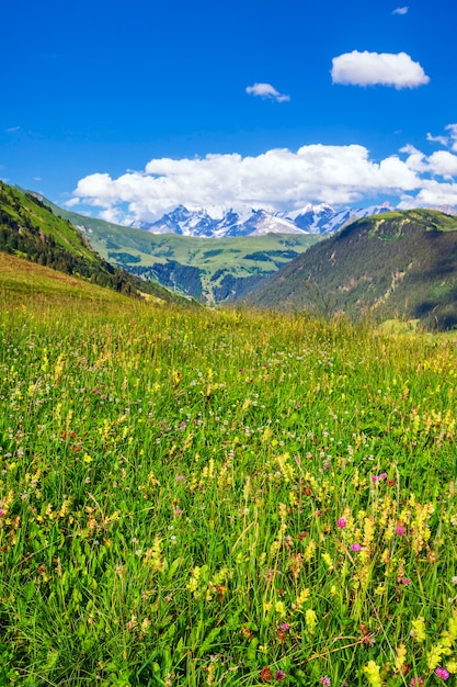 Photo gratuite vue verticale des alpes françaises en été