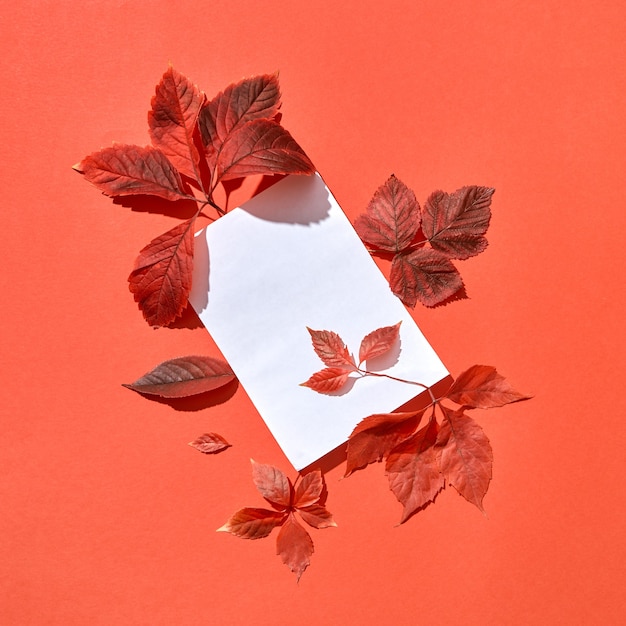 Photo composition d'automne festive à la main de carte vierge et feuilles de couleur rouge