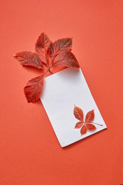 Photo carte postale de félicitations de feuilles d'automne colorées et feuille de papier vide