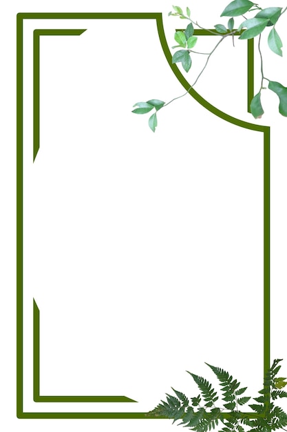 Photo double cadre vert décoré de feuilles d'orange et d'herbe isolée sur fond blanc