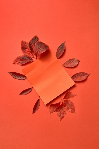 Photo feuilles de raisin d'automne de couleur rouge et carte de papier sur fond corail avec des ombres douces, espace de copie. mise à plat. composition de salutation.