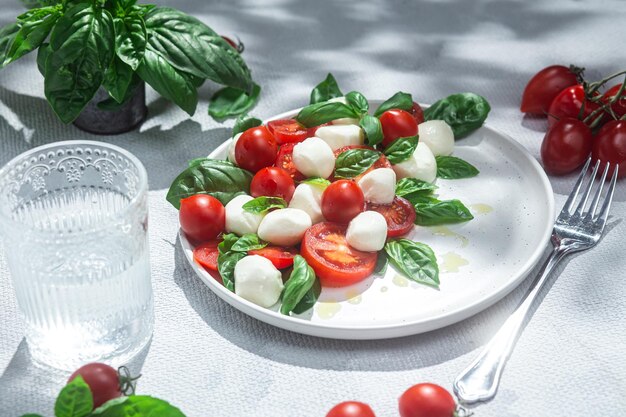 Photo salade caprese à la tomate mozzarella et basilic