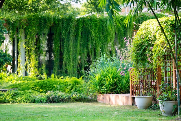 Photo près de la maison dans le jardin avec du lichen de bambou et de la vigne autour de lui dans l'après-midi