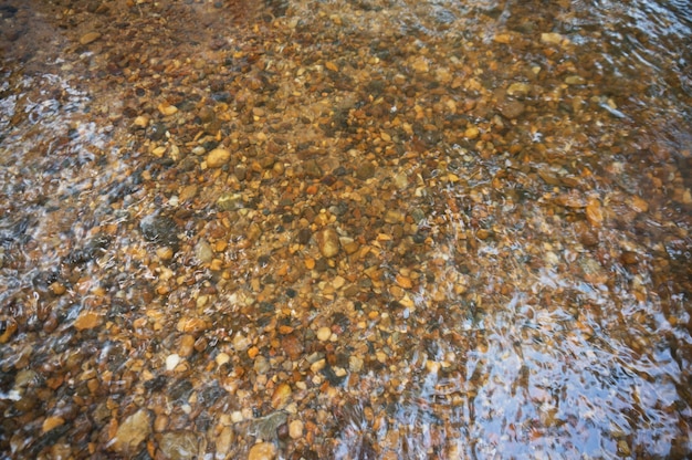 Photo la texture du fond. les pierres sont visibles sous l'eau claire. les ondulations d'eau de la rivière, les rayons du soleil sur les rochers.