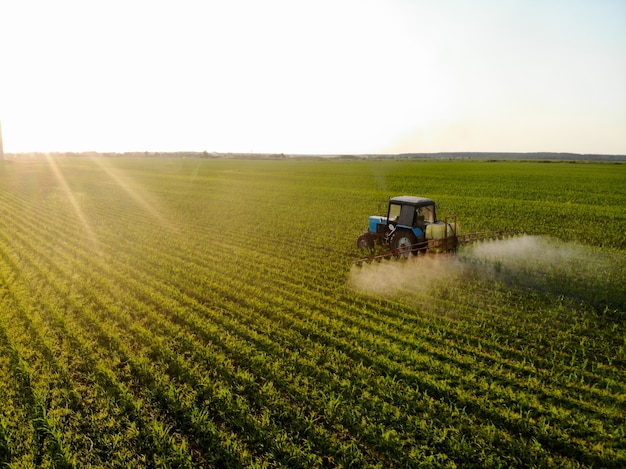 Photo le tracteur pulvérise des pesticides sur des champs de maïs au coucher du soleil