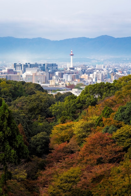 Ville de Kyoto en automne