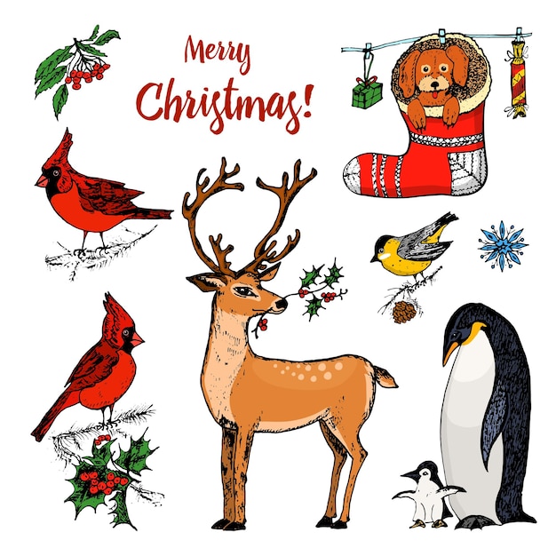 Christmas horned deer and animals New Year penguin and bird cardinal or tit in the forest winter