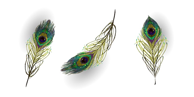 Красивая коллекция векторных реалистичных павлиньих перьев
