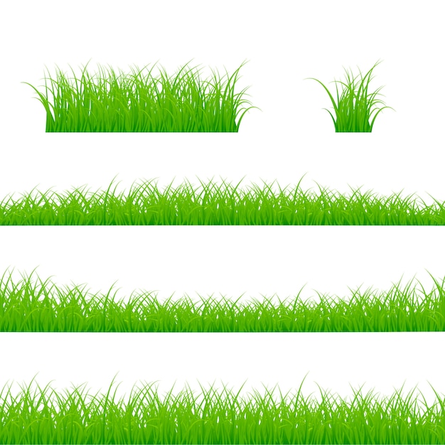 Набор границ травы. Панорама травяных растений. иллюстрация на белом фоне