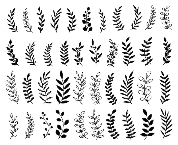 Vector hand drawn tree branches and leaves set