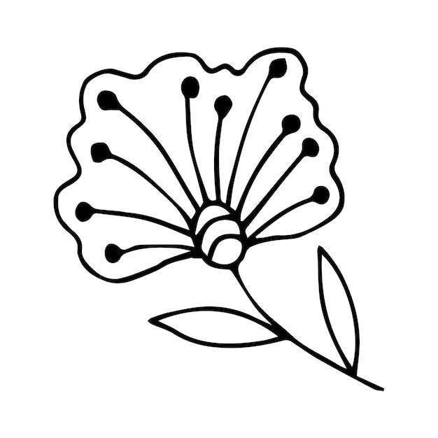 Ручной рисунок ботанического цветочного элемента для концепции цветочного дизайна