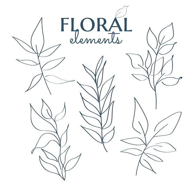 Vector hand drawn floral element