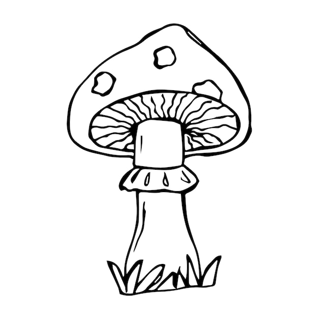 Ручной рисунок грибов черно-белый вектор