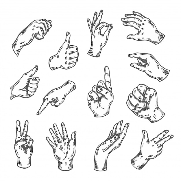 Вектор Набор жестов рук эскиз