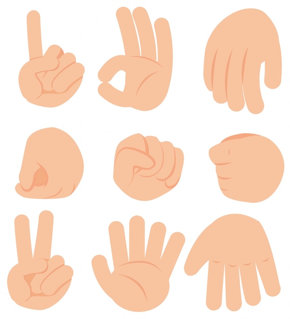 Vector hand gesture on white background