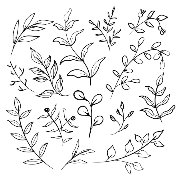 Vector handdrawn leaves line art collection