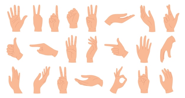 Vector hands poses. female hand holding and pointing gestures, fingers crossed, fist, peace and thumb up. cartoon human palms and wrist vector set. communication or talking with emoji for messengers