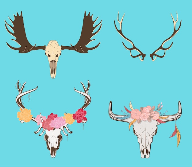 Vector illustration of decorated cow and deer skull