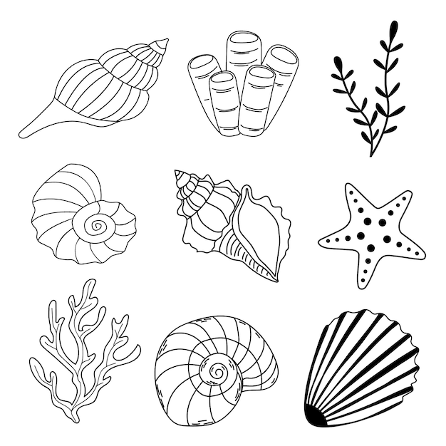 Набор морских ракушек, водорослей, морских звезд Летняя векторная иллюстрация