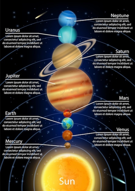 Solar system planets in order from the sun vector infographic