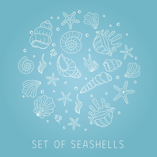 Набор красивых ракушек и морских звезд, расположенных по кругу Ручной рисунок морского эскиза