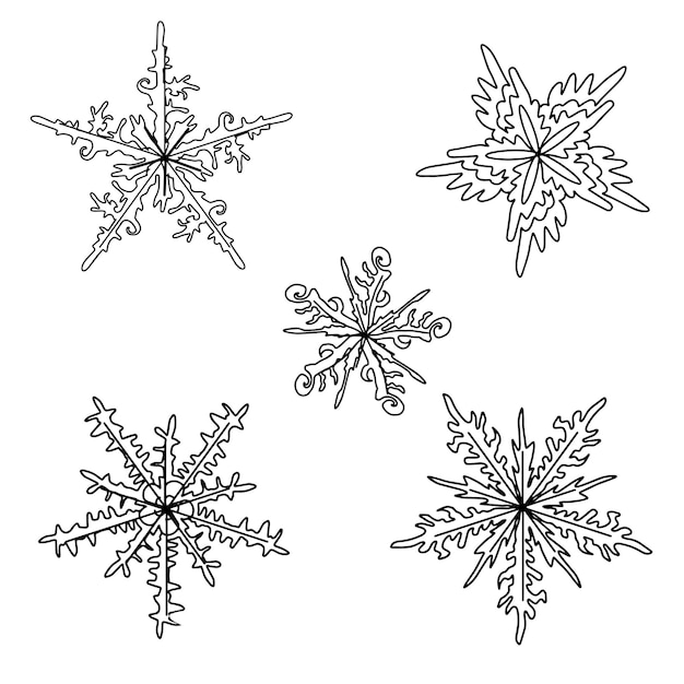 Set of decorative snowflakes Winter pattern Exotica Color book Fashion in a vector illustration