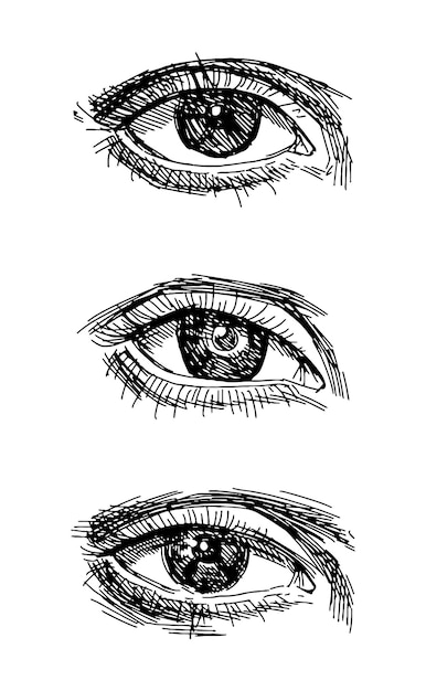 Вектор Стиль эскизной гравюры ручно нарисованный винтажный женский глаз вектор в стиле эскиза
