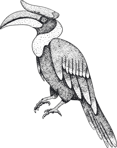 Вектор Носорог птица-носорог. векторный эскиз рисованной птицы.
