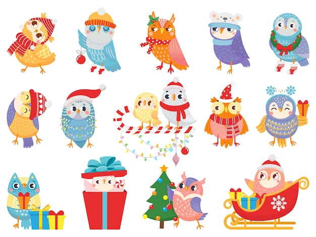 Вектор Зимняя сова. симпатичные рождественские птицы, совы в шарфе и шляпе и птичий талисман.
