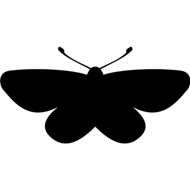 Vector vector illustration silhouette of moth butterfly