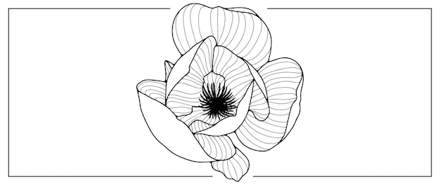 Plik wektorowy czarno-biały ilustracja wektorowa kwiatu magnolii do kolorowania książek tła obejmuje drukowanie