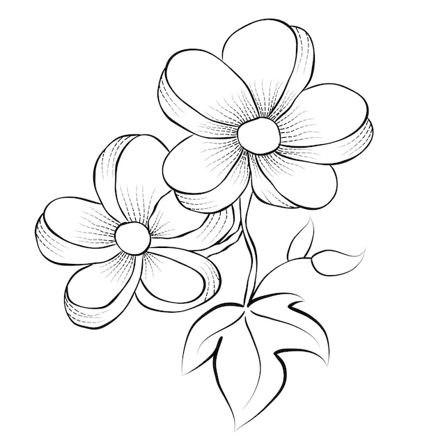 Plik wektorowy grafika liniowa wektor swobodny i rysunek odręczny kwiat sztuka czarno-biały płaski projekt prosty kwiat