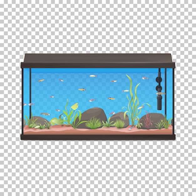Plik wektorowy ilustracja akwarium z kamieniami ryby