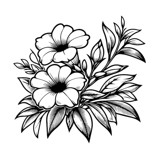 Plik wektorowy ręcznie malowane kwiaty allamanda cathartica ilustracja izolowana na białym tle