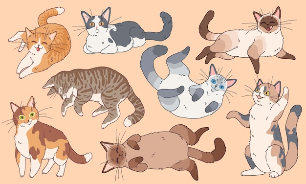 Urocze koty. Śmieszne kocięta różne rasy, zwierzęta domowe śpiące i grające w kreskówkę happy kitty face rysowanie logo znaków zestaw