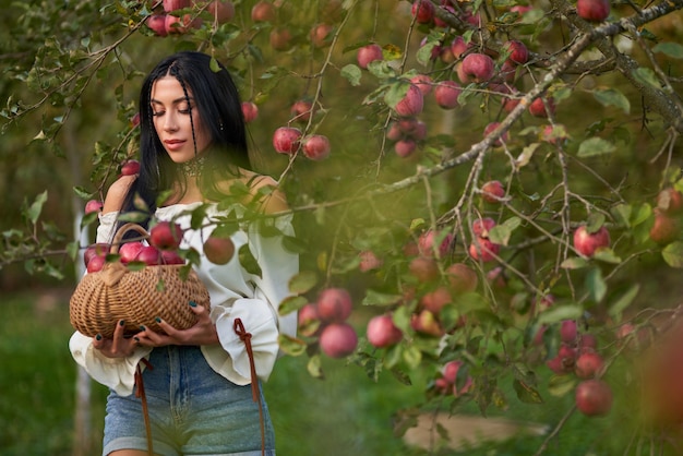Młoda piękna kobieta zbiera jabłka w sadze.