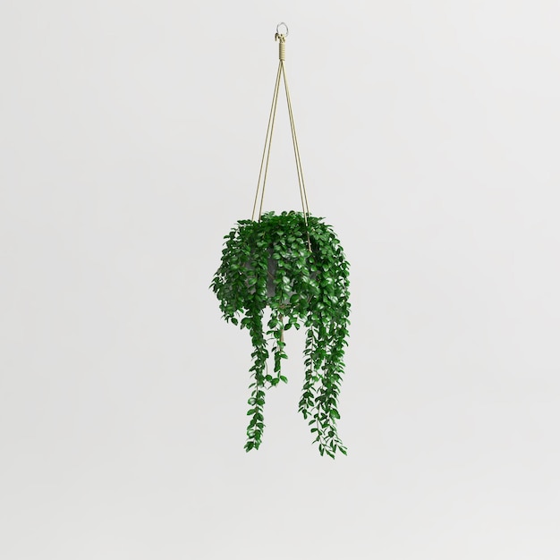 Photo 3d illustration of hanging plant isolated on white background